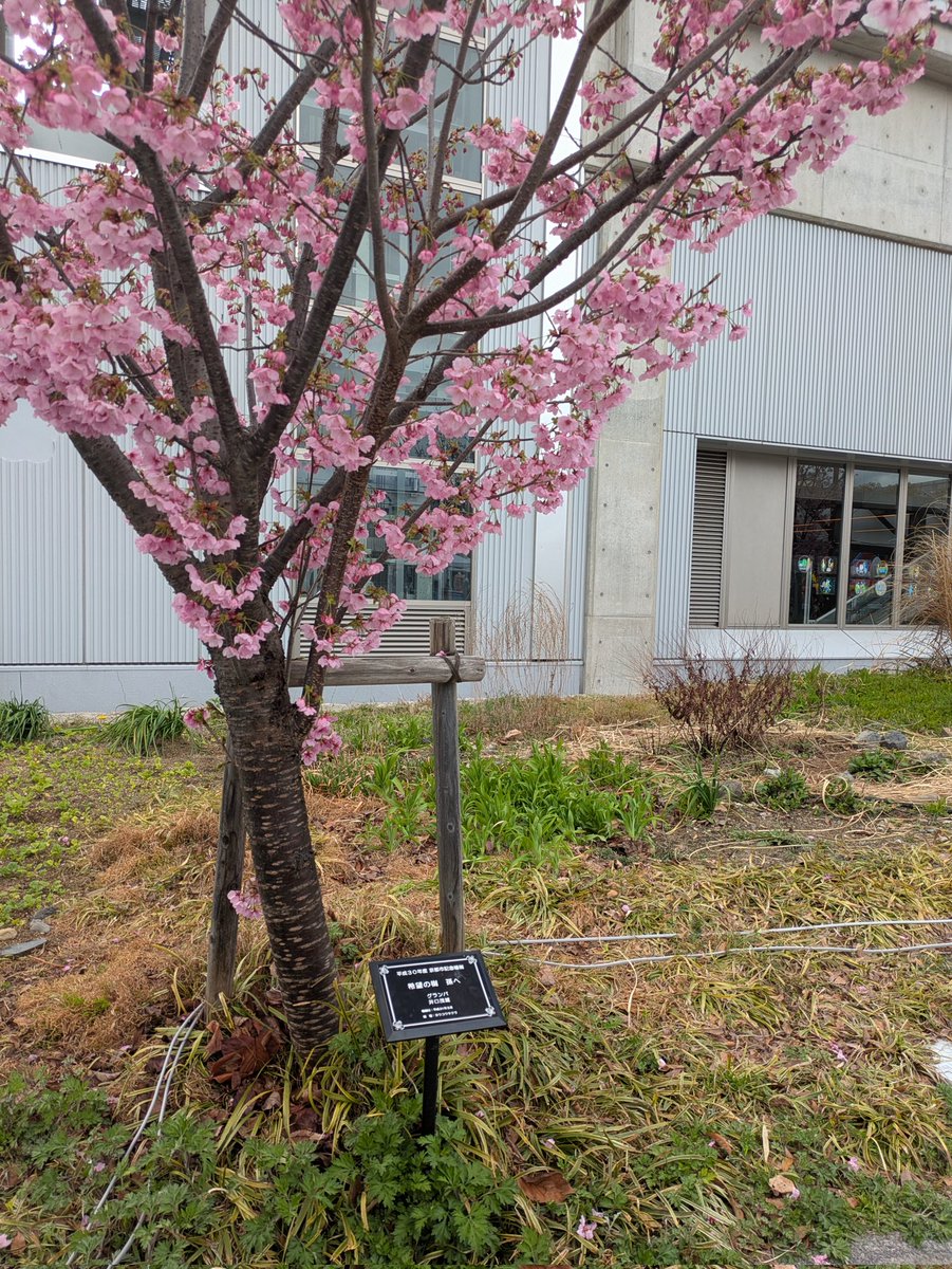 正紘(マサヒロ)🌈💎🌞 tweet media