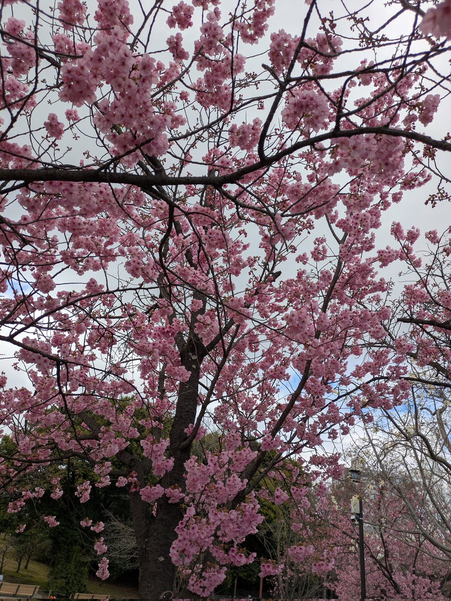 正紘(マサヒロ)🌈💎🌞 tweet media