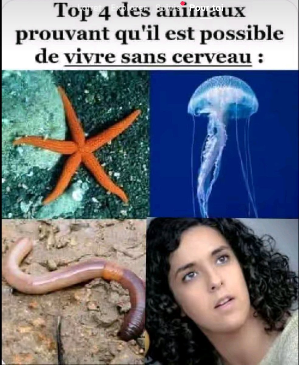 🇨🇵 Antinea45 🇨🇵 tweet media