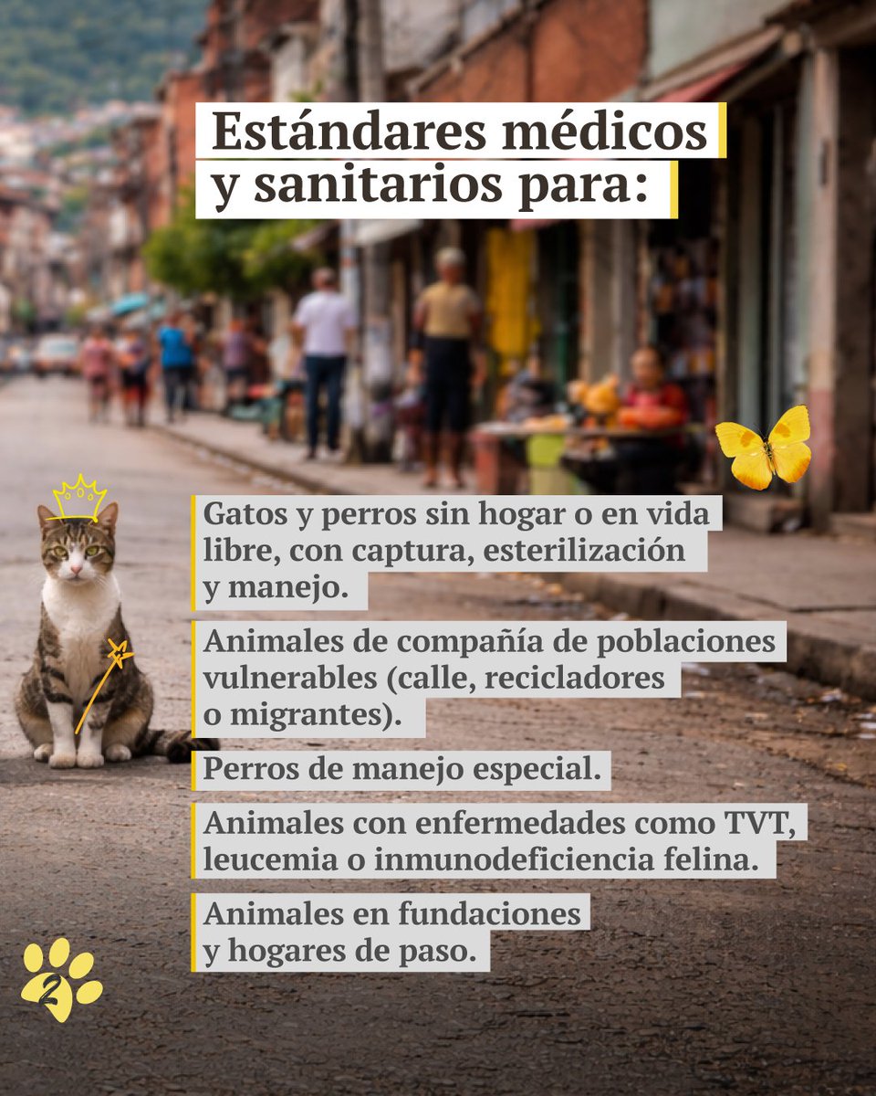 Presidencia Colombia 🇨🇴 tweet media