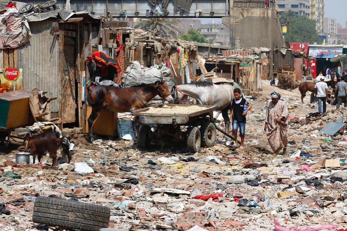 💣💥🇦🇪 tweet media