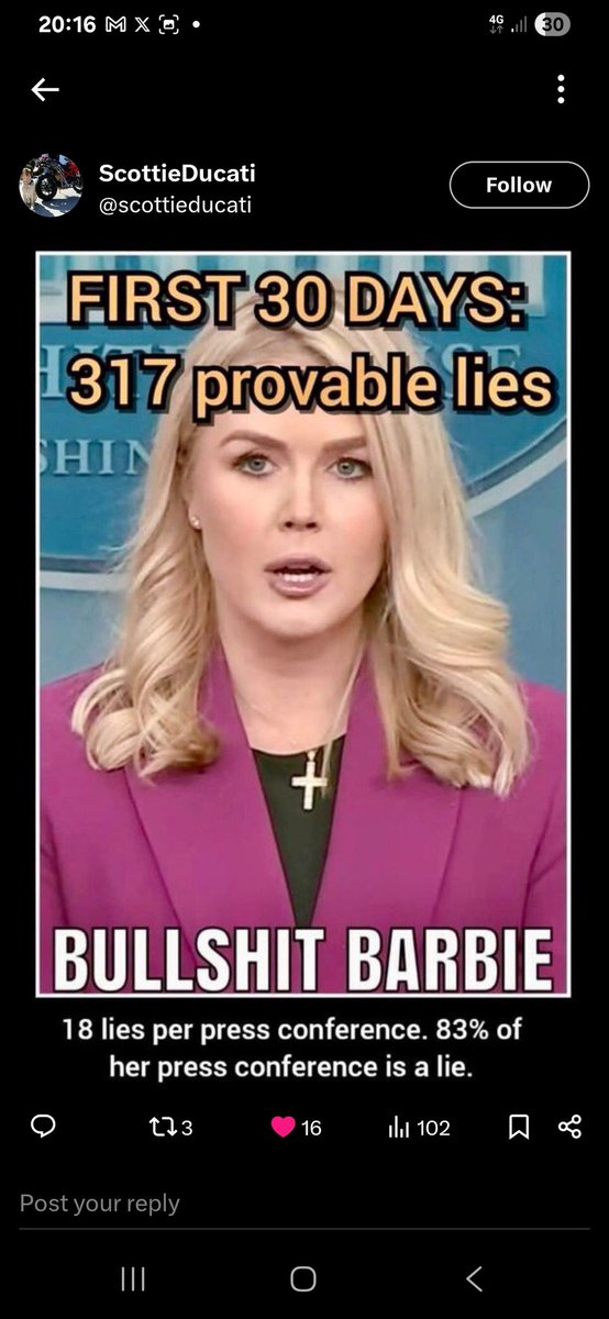 DogsAreBetter tweet media