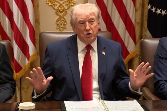 Ryan Dally tweet media