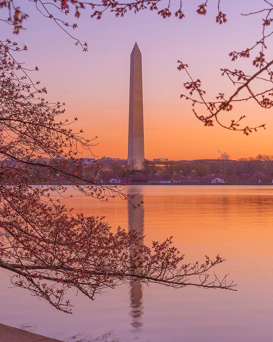 Visit Washington, DC tweet media