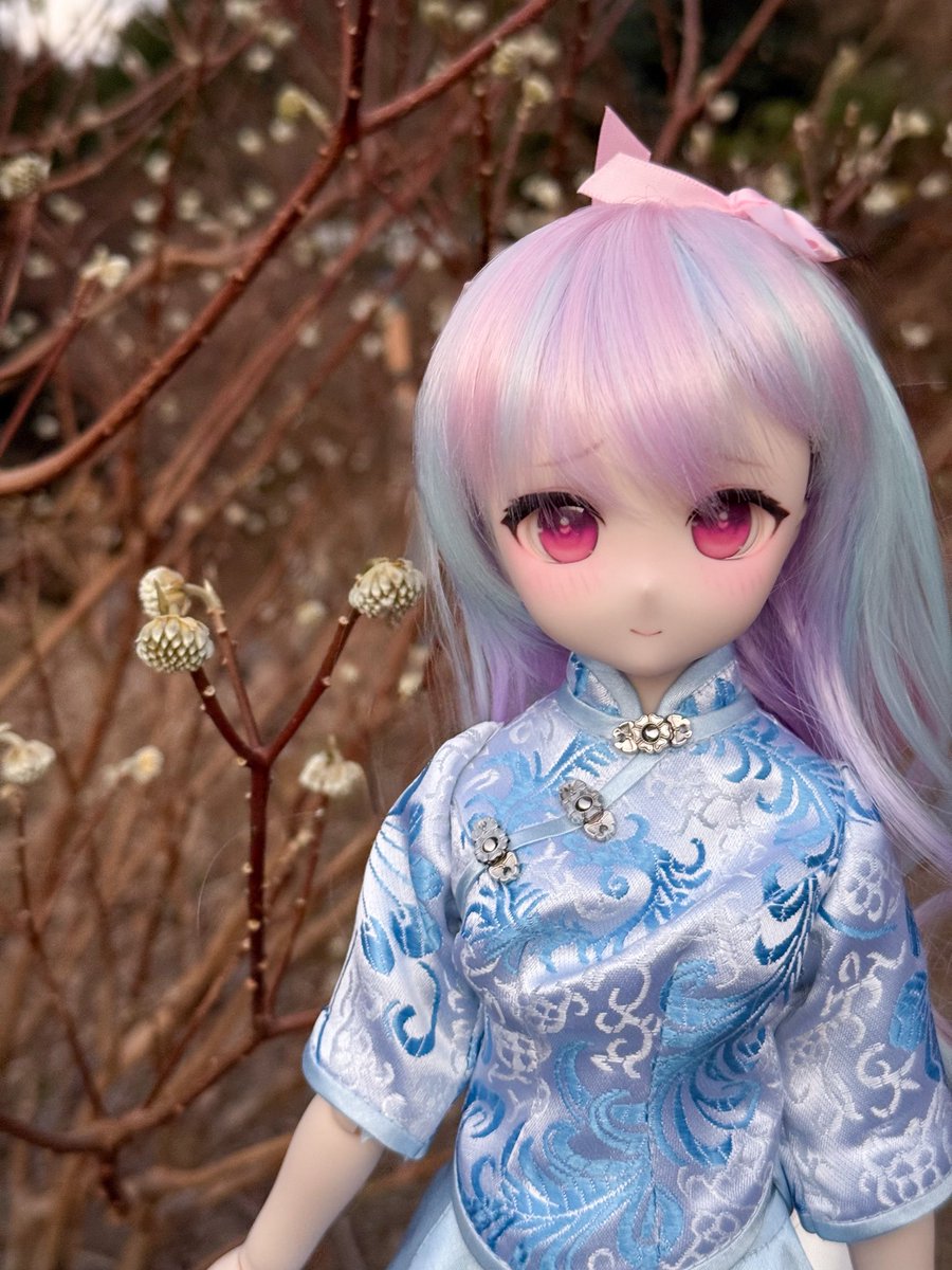 ロバしん tweet media