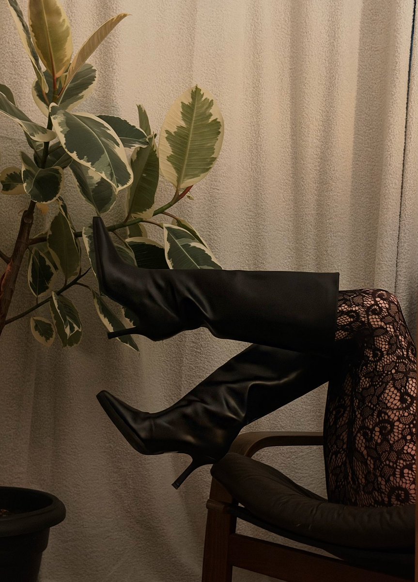 princess mil 🎀🐆 tweet media