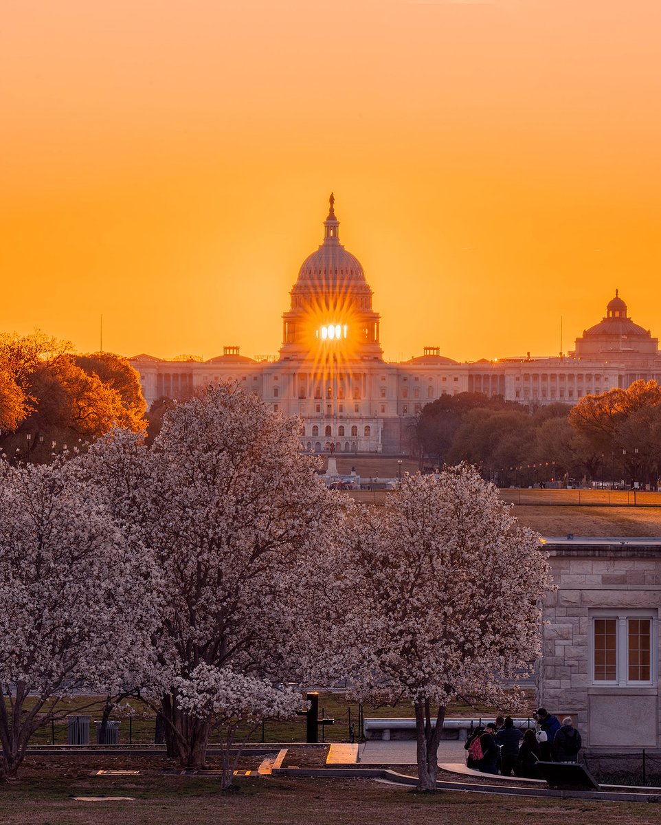 Visit Washington, DC tweet media