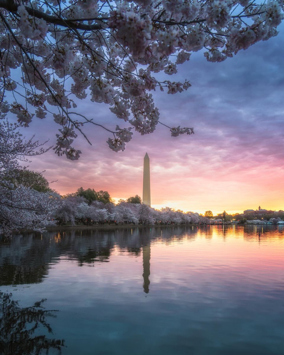 Visit Washington, DC tweet media