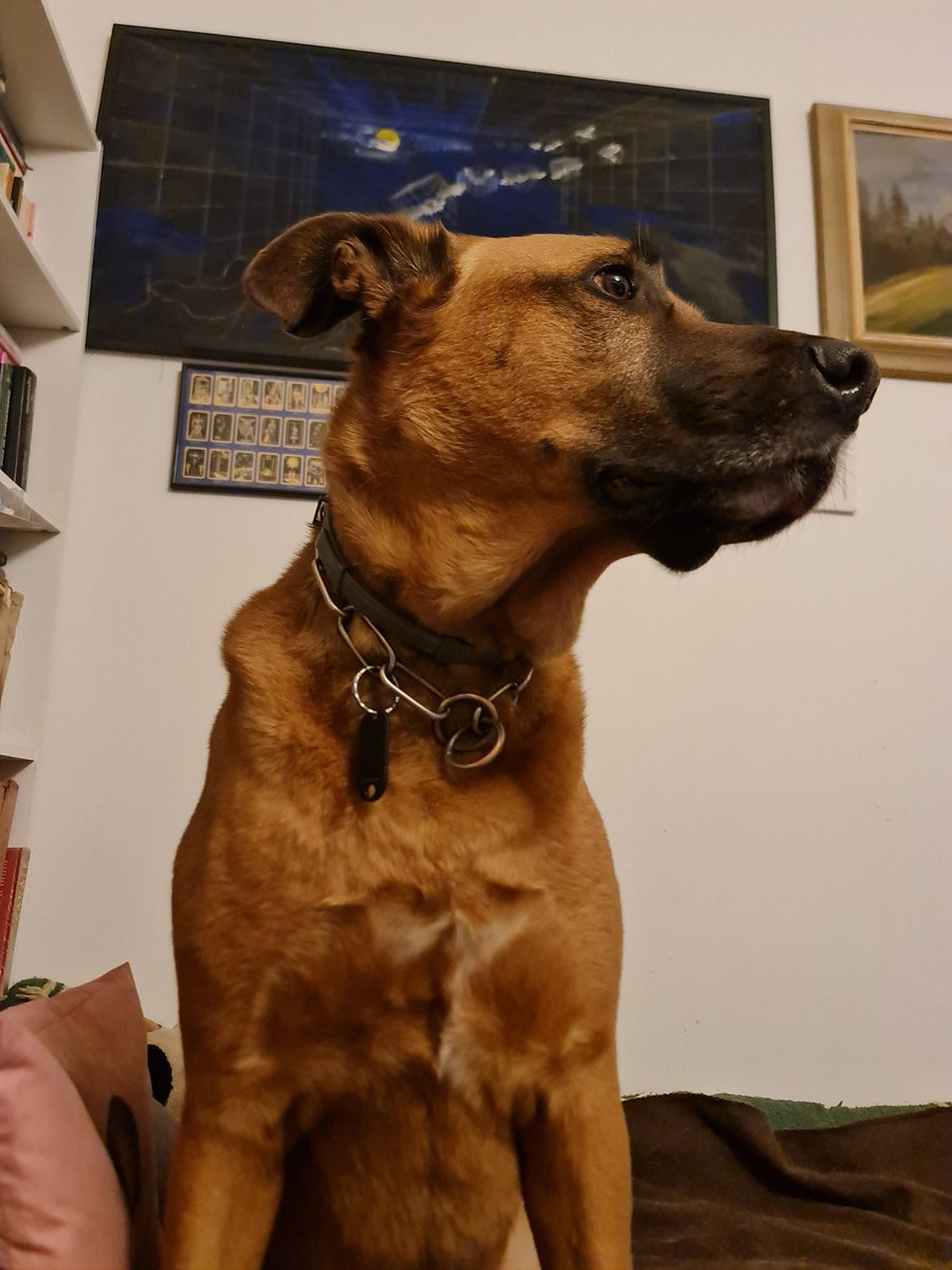 Dobrou noc! ;)

#emil_sinclair