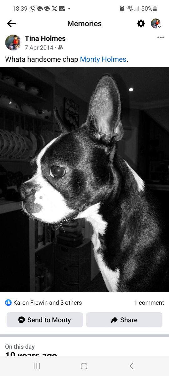 Tina Death tweet media