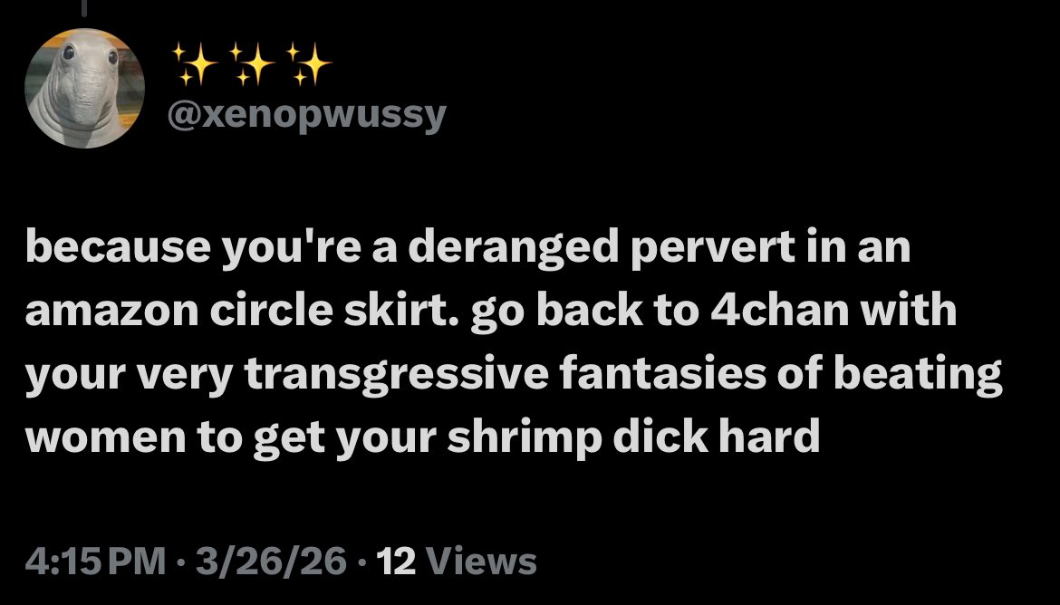 Vi 🐾🏳️‍⚧️🐾 tweet media