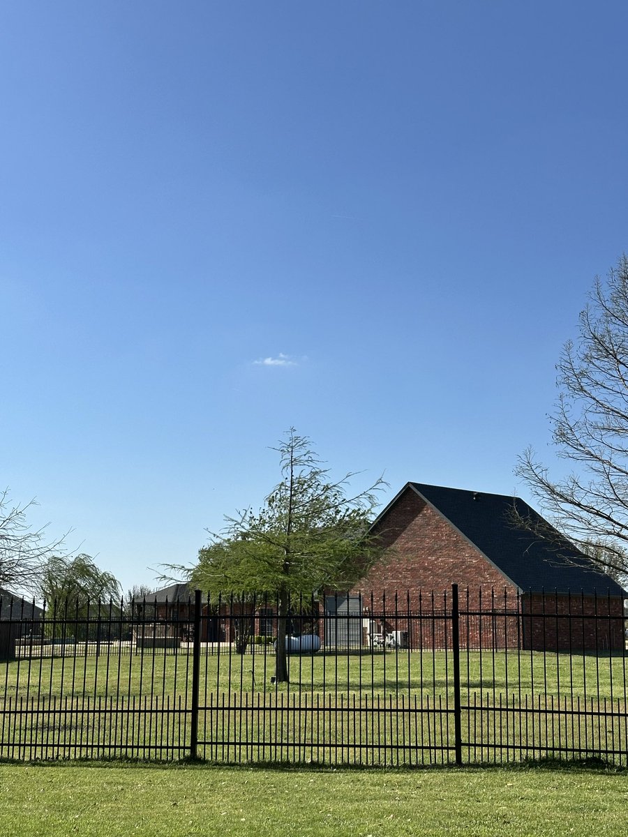 Kevin at Lawn & Order Texas Edition tweet media