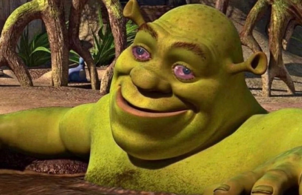 “Look at you all high n stupid” 

Me all high n stupid