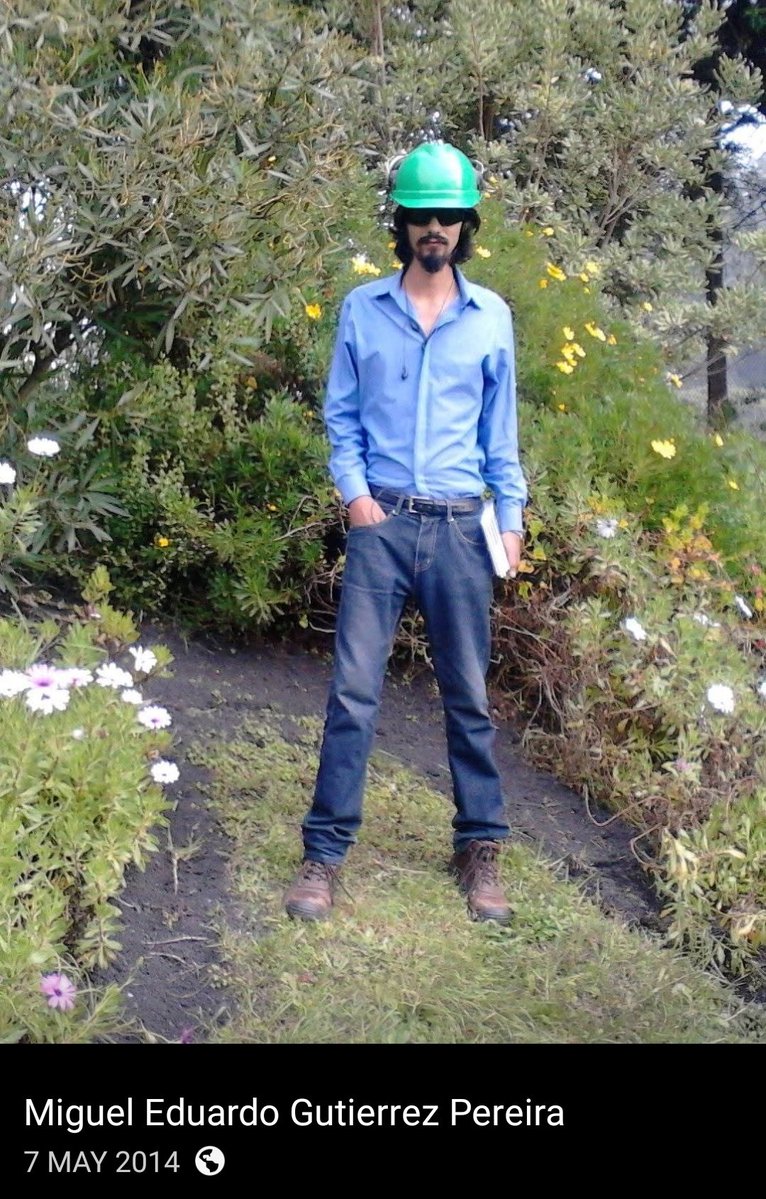 Reportando Fachos Cringe tweet media