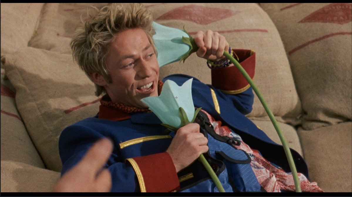 carty™ tweet media