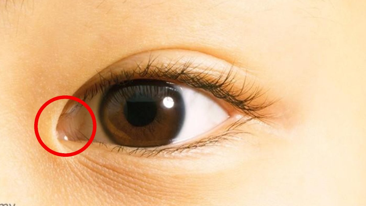 MarwinBS tweet media