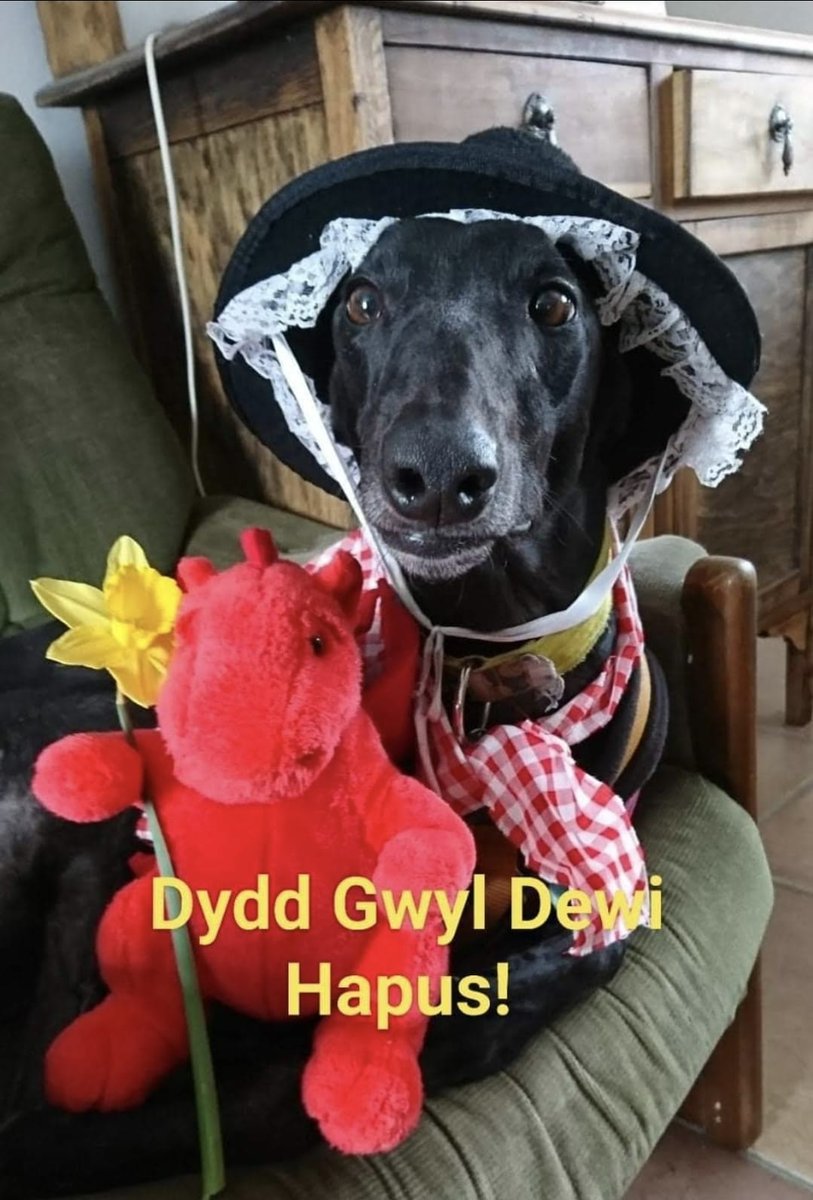 𝒞☆𝐿𝒟 ⛓️‍💥𝓈𝒽𝑒𝒹𝓉𝓌𝓉🍰 tweet media