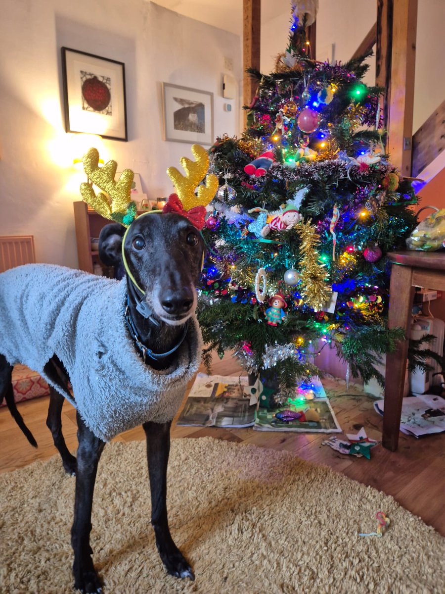 𝒞☆𝐿𝒟 ⛓️‍💥𝓈𝒽𝑒𝒹𝓉𝓌𝓉🍰 tweet media