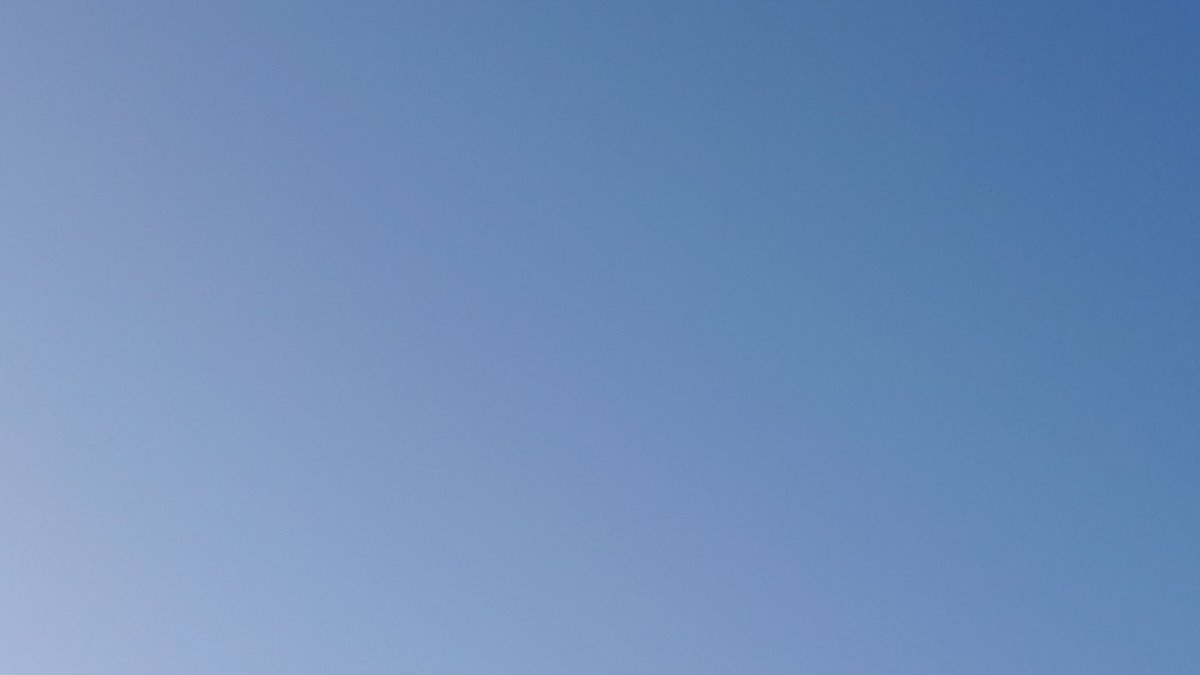 りん🎀 tweet media