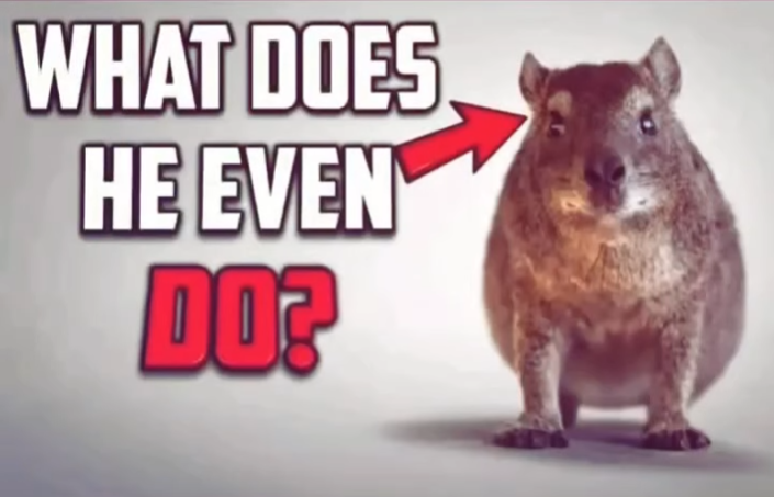 Protasio1968 tweet media