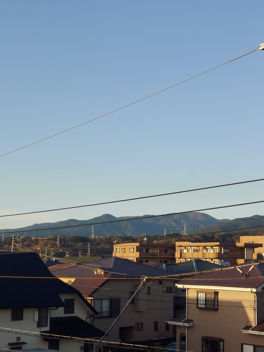 てらっちょ tweet media