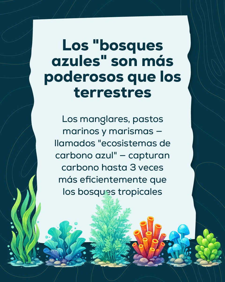 ATUNEC EC tweet media