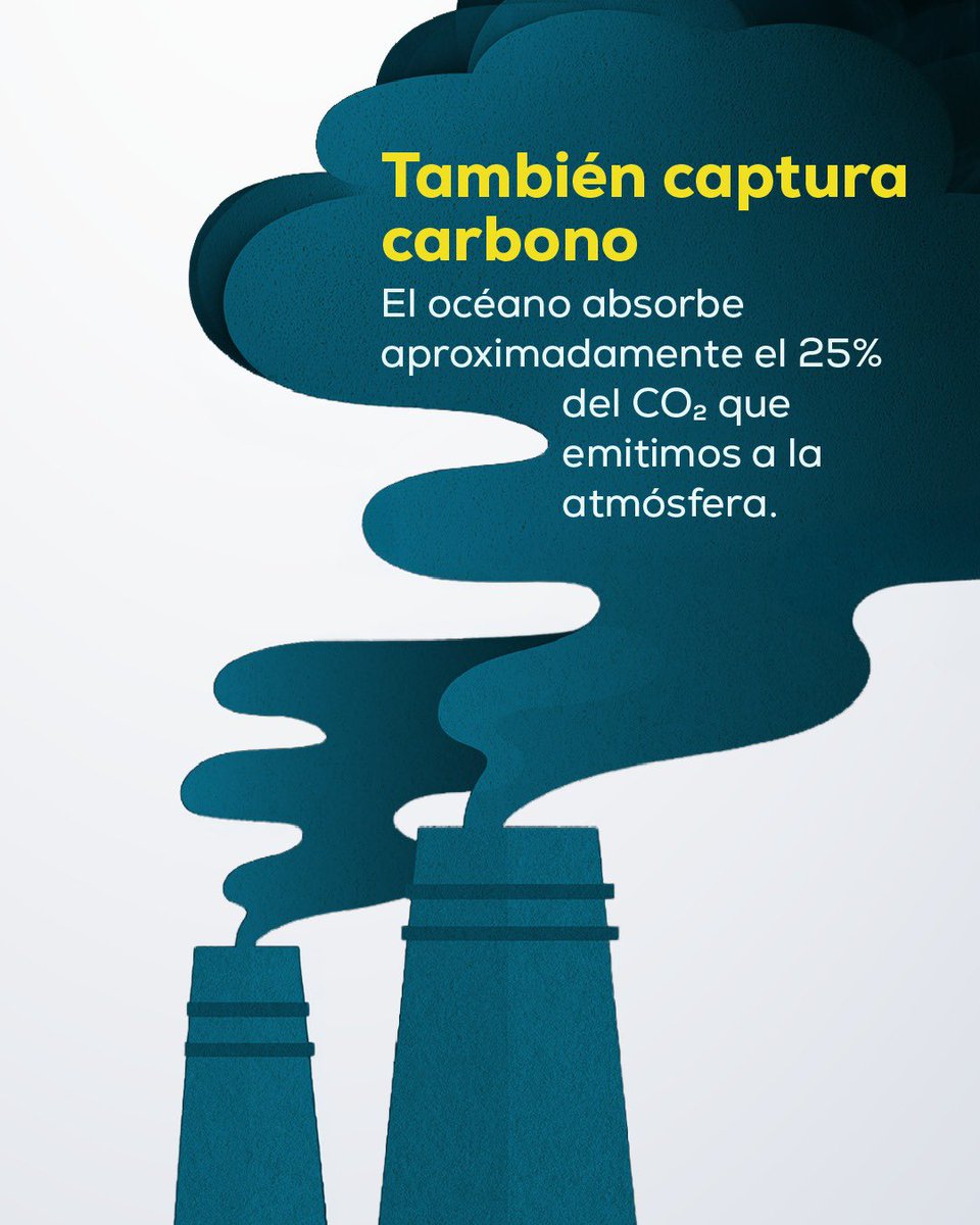 ATUNEC EC tweet media