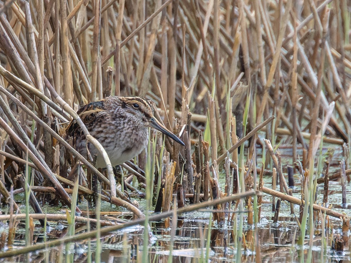 Pete Sutton tweet media