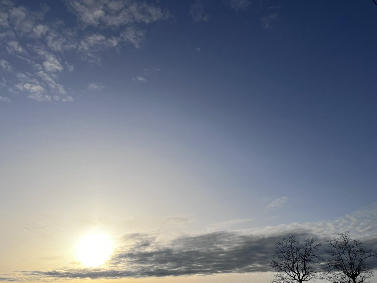 内藤聡 tweet media