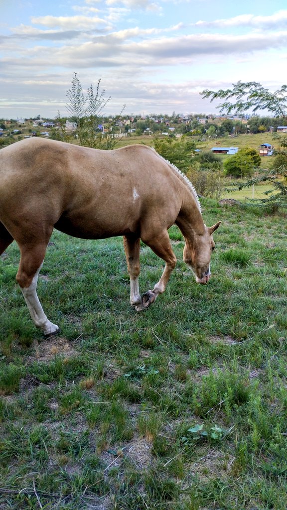 juani🇫🇮 tweet media