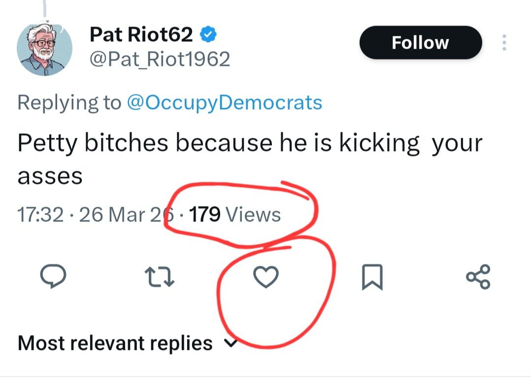 DogsAreBetter tweet media