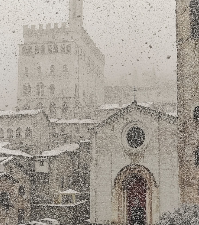 Francesca Mura tweet media