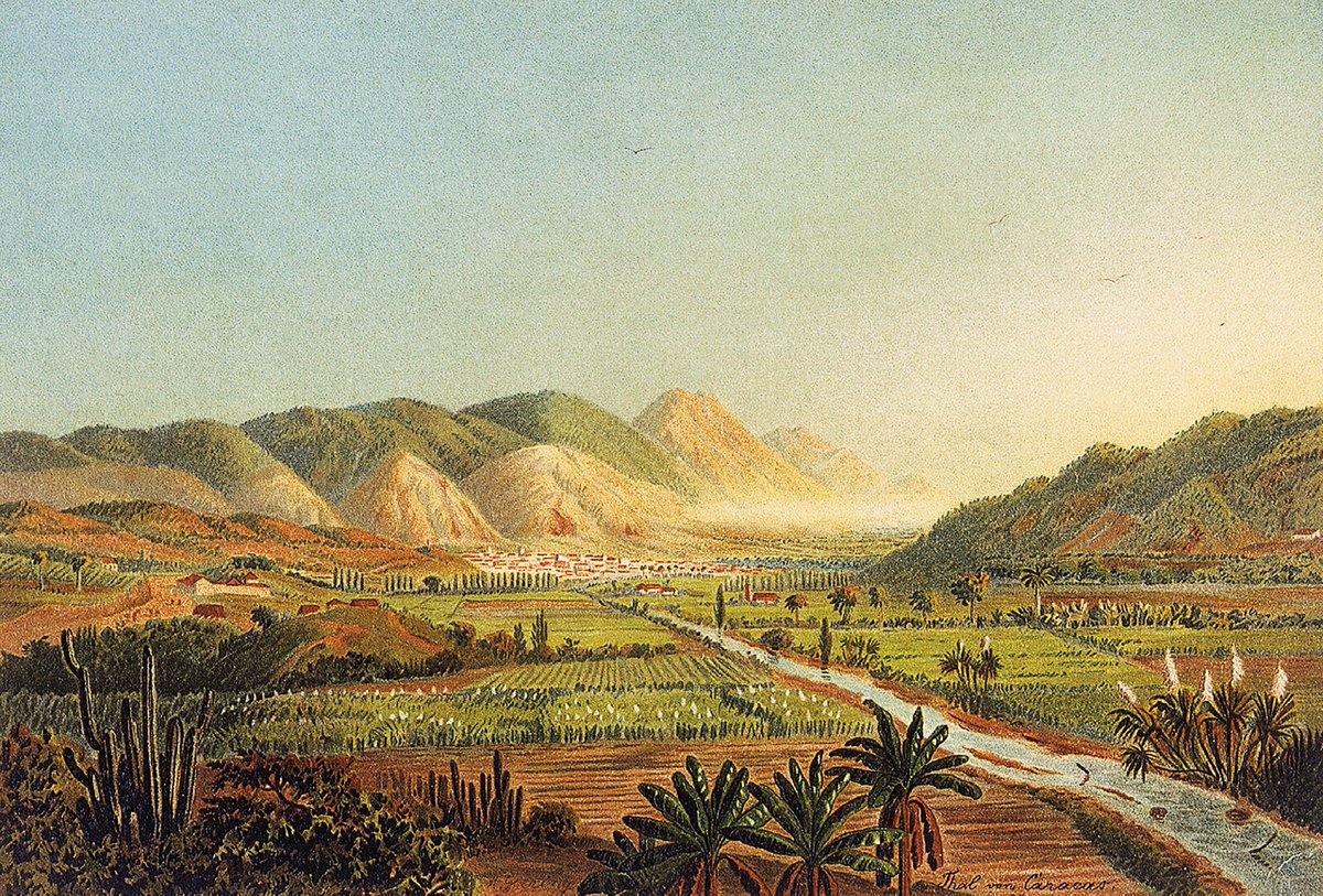 Idearium Caribe tweet media