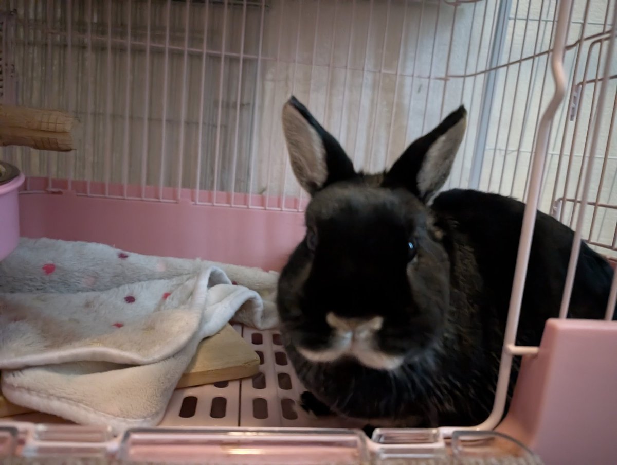 Maria F🍏 tweet media