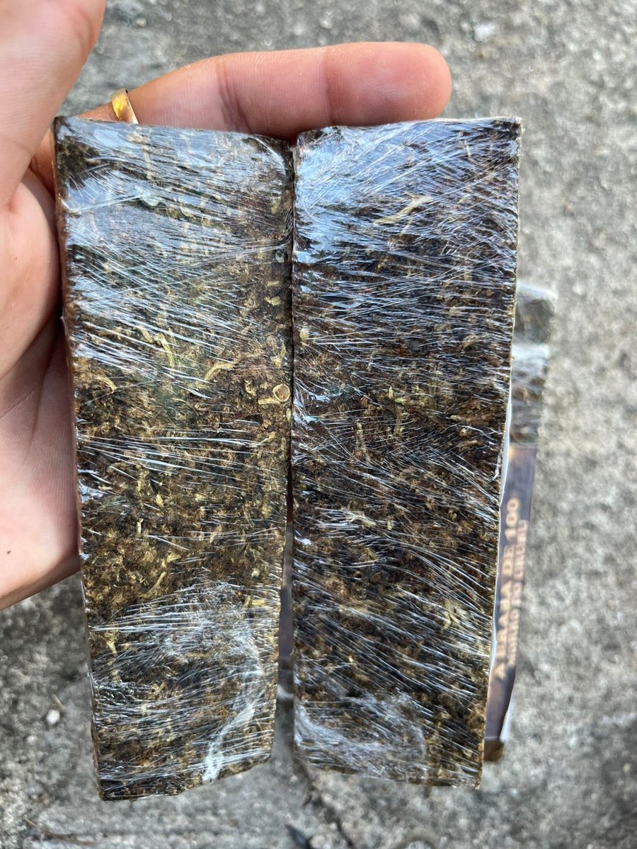 🍁 𝑪𝑨𝑵𝑵𝑨𝑩𝑰𝑺 𝑫𝑶 𝑹𝑰𝑶 🍁 tweet media