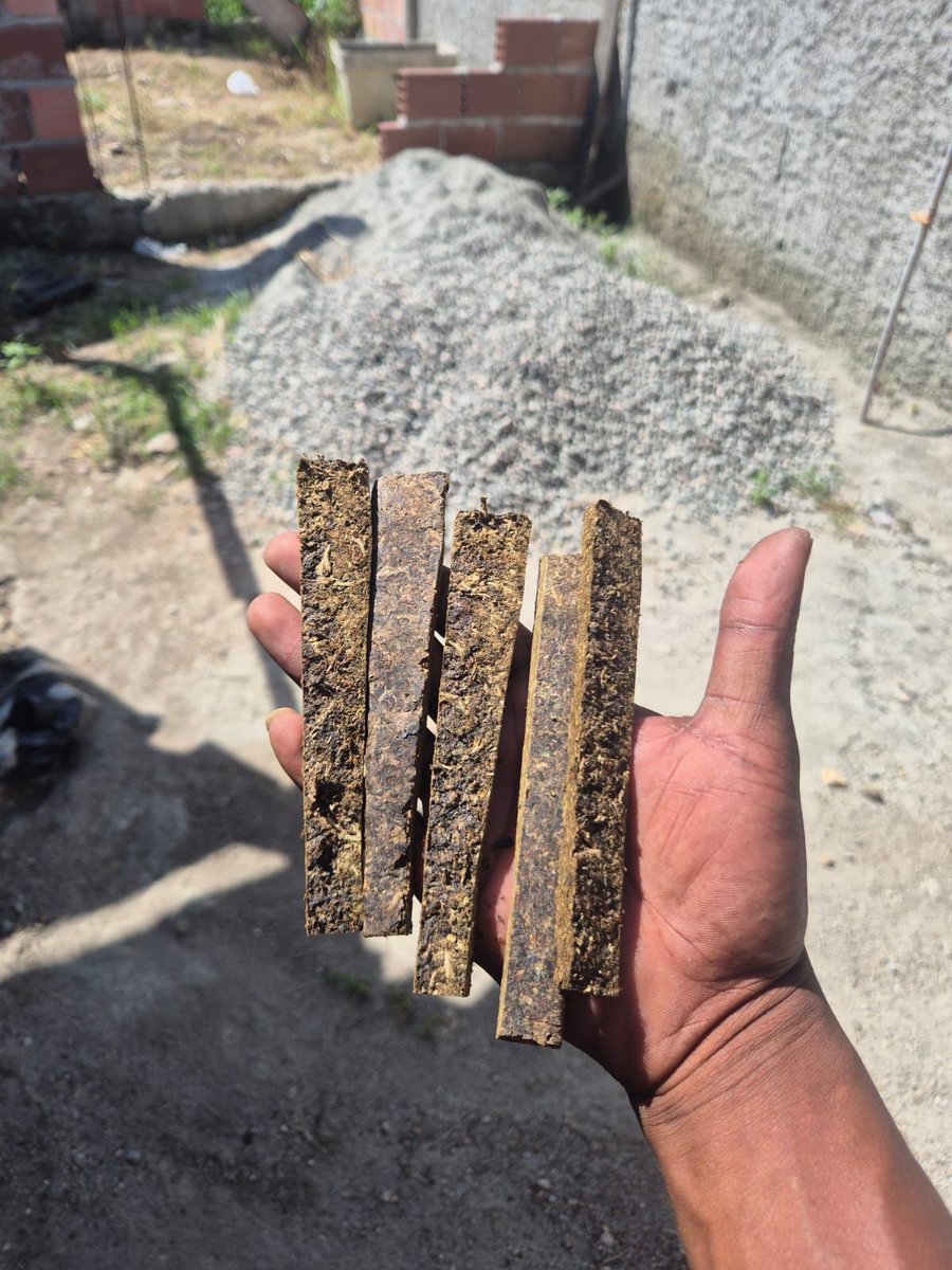 🍁 𝑪𝑨𝑵𝑵𝑨𝑩𝑰𝑺 𝑫𝑶 𝑹𝑰𝑶 🍁 tweet media