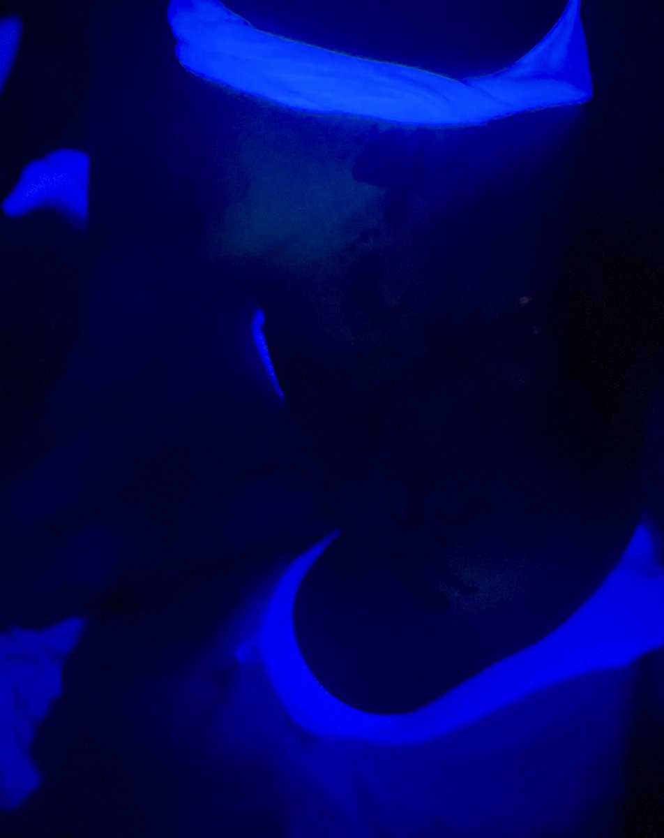 chester_casida's tweet photo. Someone sent me this picture telling me that it was a solo shot. But after very little editing of the brightness and contrast it seemed to show MORE than one person. So I’m posting it just as it was sent as well as the “edited” version. 
LMK how many people you see. https://t.co/CIfXRk6Izu