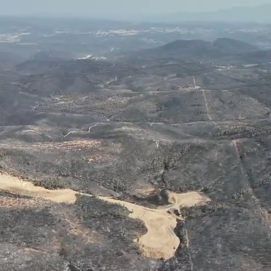 Boşuna Tıklama tweet media