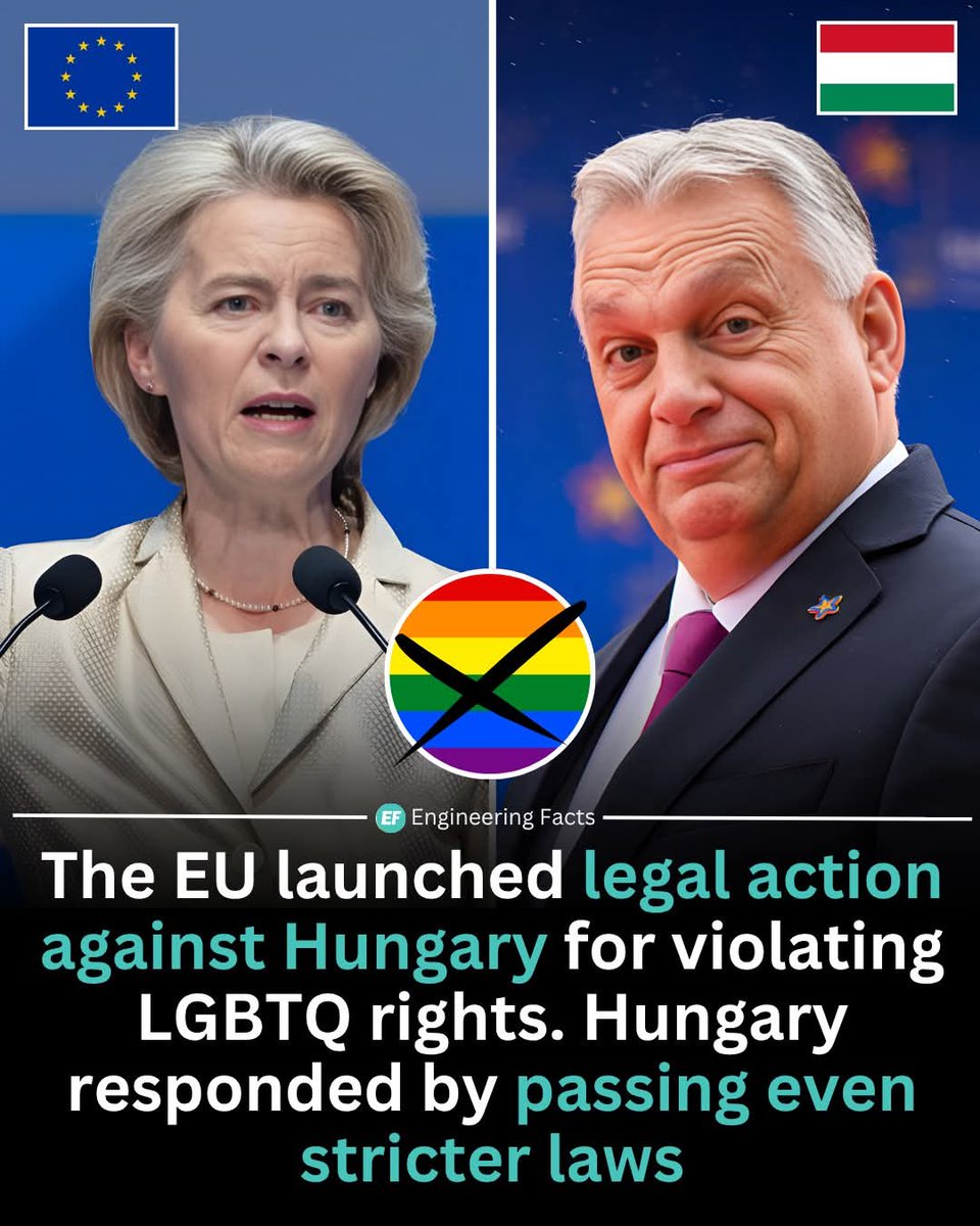 Patriot🇺🇸Newswire tweet media