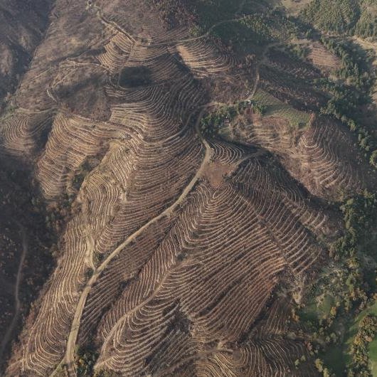Boşuna Tıklama tweet media
