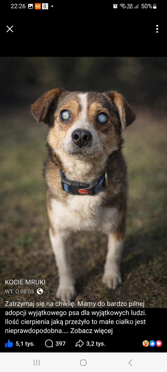 PiPi 💅 #silnaosobno tweet media