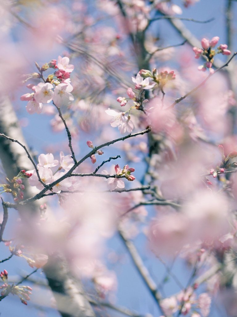 ゆういち 𓈒◌ tweet media