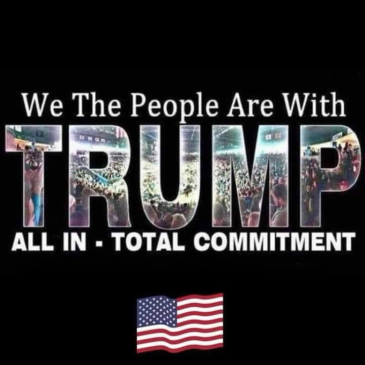 Blondelady2024 tweet media