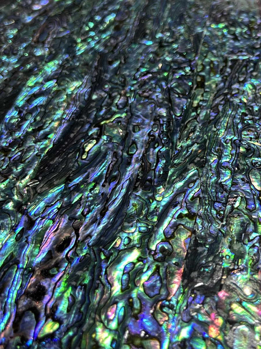 TamiyaRaden's tweet photo. 新作の製作中
The nacre of shells, shaped by the sea’s gentle motion and the passage of time.
We are now weaving its light into the weft—currently developing a work that rearticulates the flow of water and the cycle of life.

#tamiyaraden #民谷螺鈿 #tamiyaradentextile https://t.co/aXbSlQYe4N