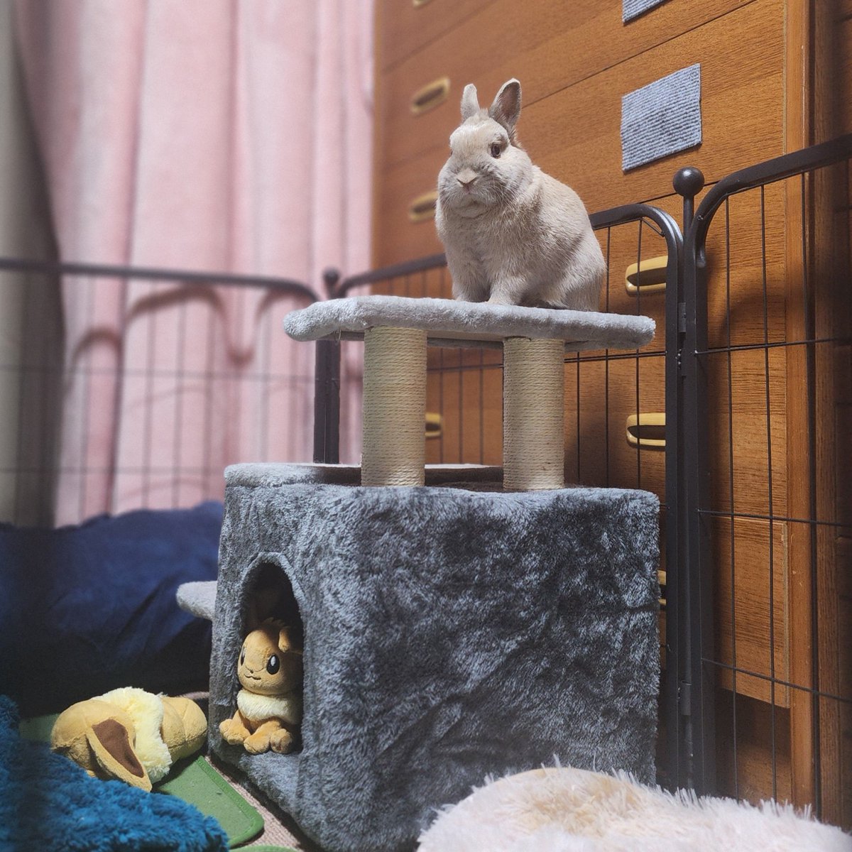 T7ふぉんNP tweet media