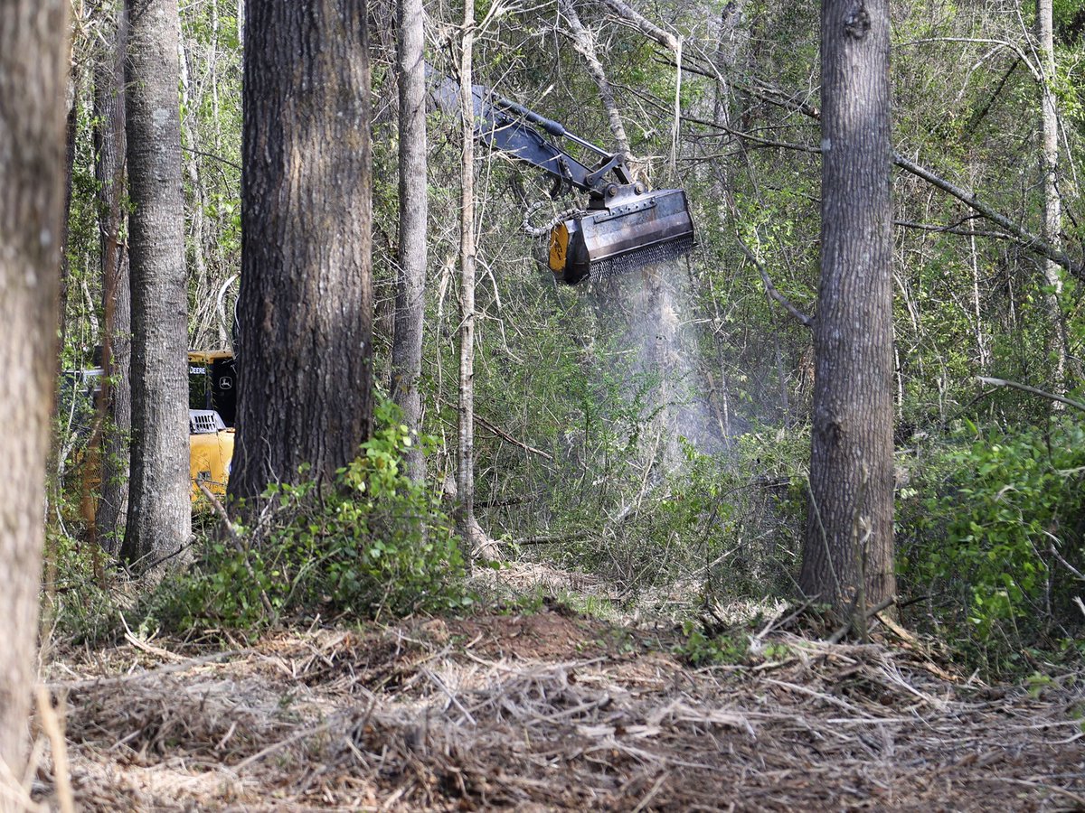 St. Tammany Parish tweet media