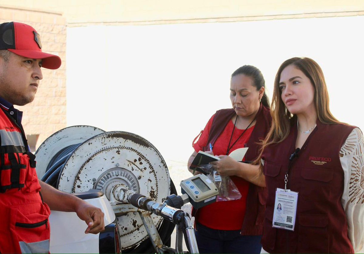 Ana Guízar V. tweet media