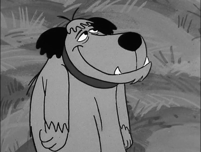 StevieDee tweet media