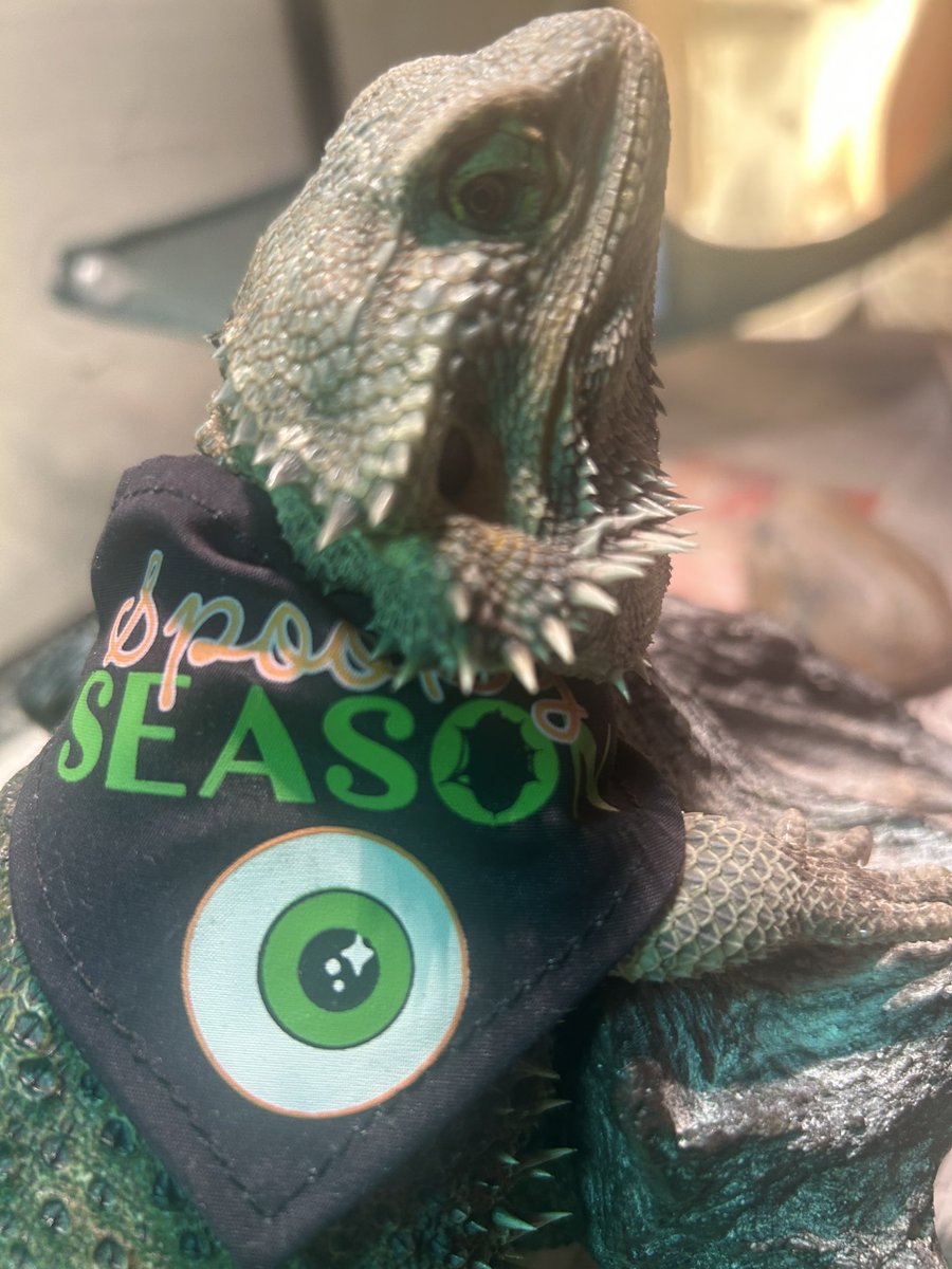 David Ries tweet media