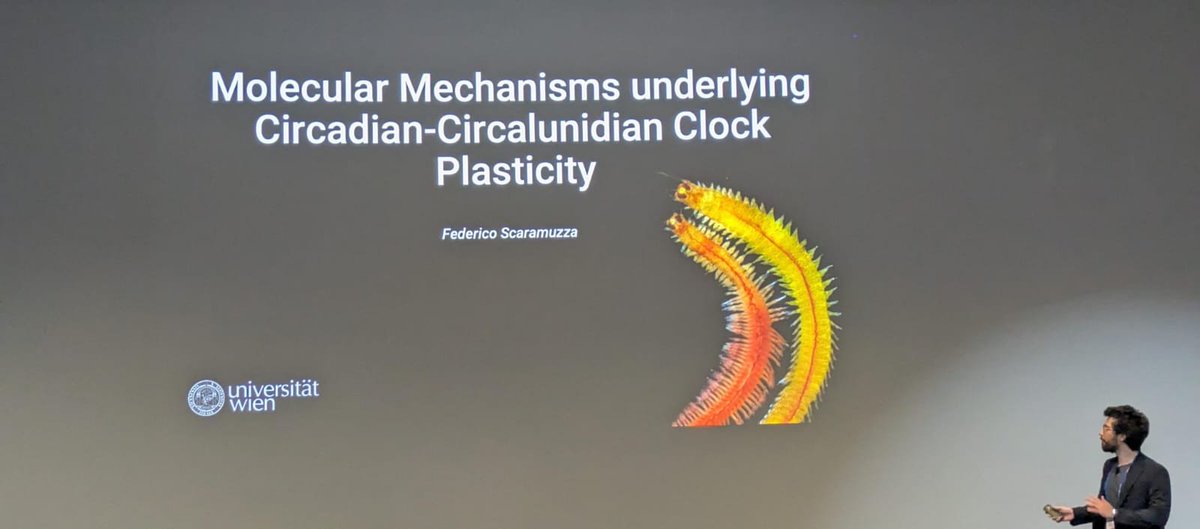 Shwdey's tweet photo. @Fede200597 from @univienna  discussed plasticity in circadian-circalunidian clocks, uncovering molecular mechanisms behind flexible biological timing @EMBLEvents #EESBioOsc https://t.co/8cA4BO6Nzs